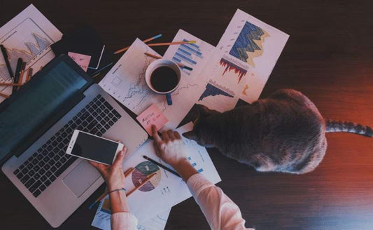 Top 10: Suplementów wspierających odporność